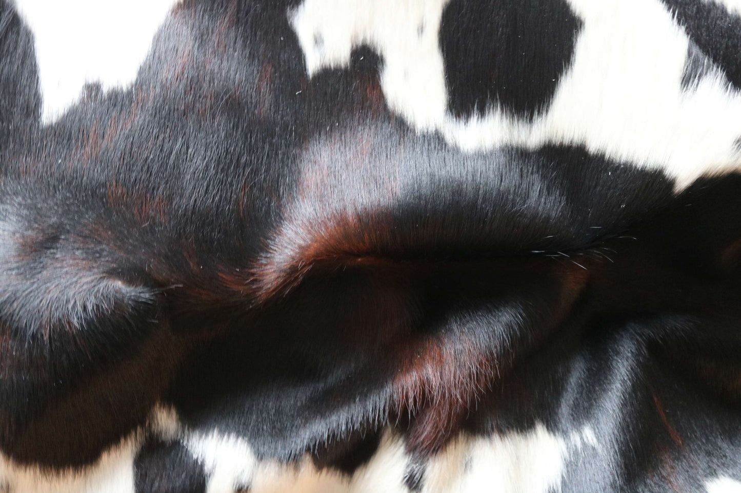200663 - TRICOLOR  Cowhide Rug XL - Quebecuir Premium Collection