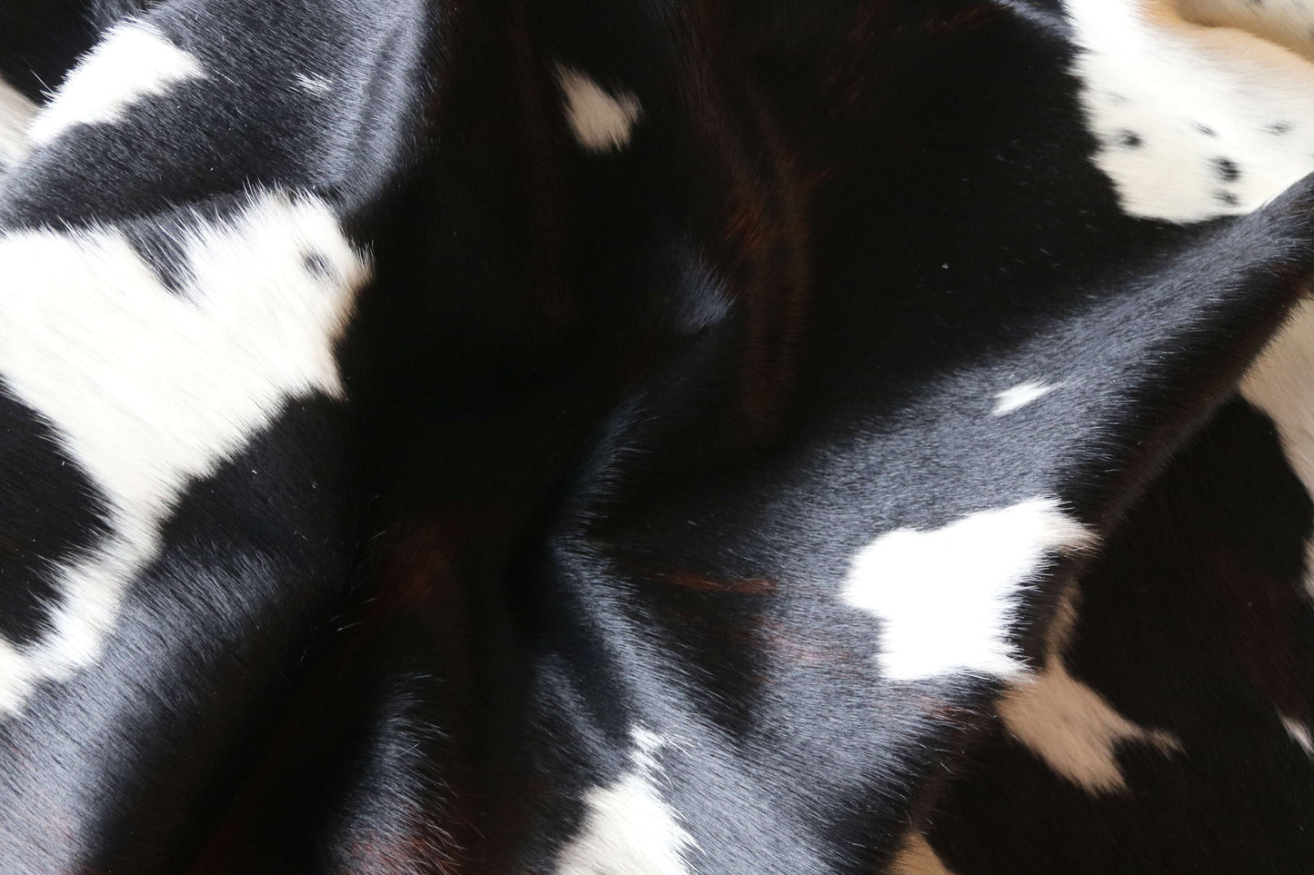 200663 - TRICOLOR  Cowhide Rug XL - Quebecuir Premium Collection