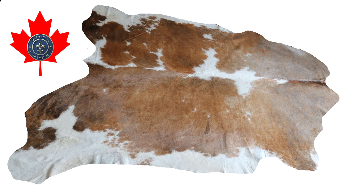 100316  - TRICOLOR  Cowhide Rug XL - Quebecuir Premium Collection