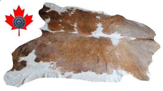 100316  - TRICOLOR  Cowhide Rug XL - Quebecuir Premium Collection