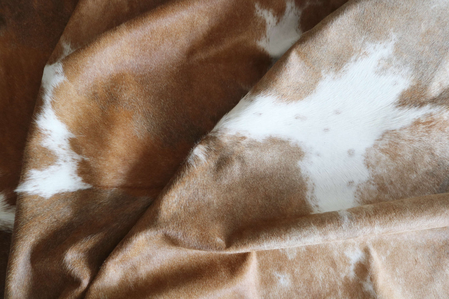 100316  - TRICOLOR  Cowhide Rug XL - Quebecuir Premium Collection