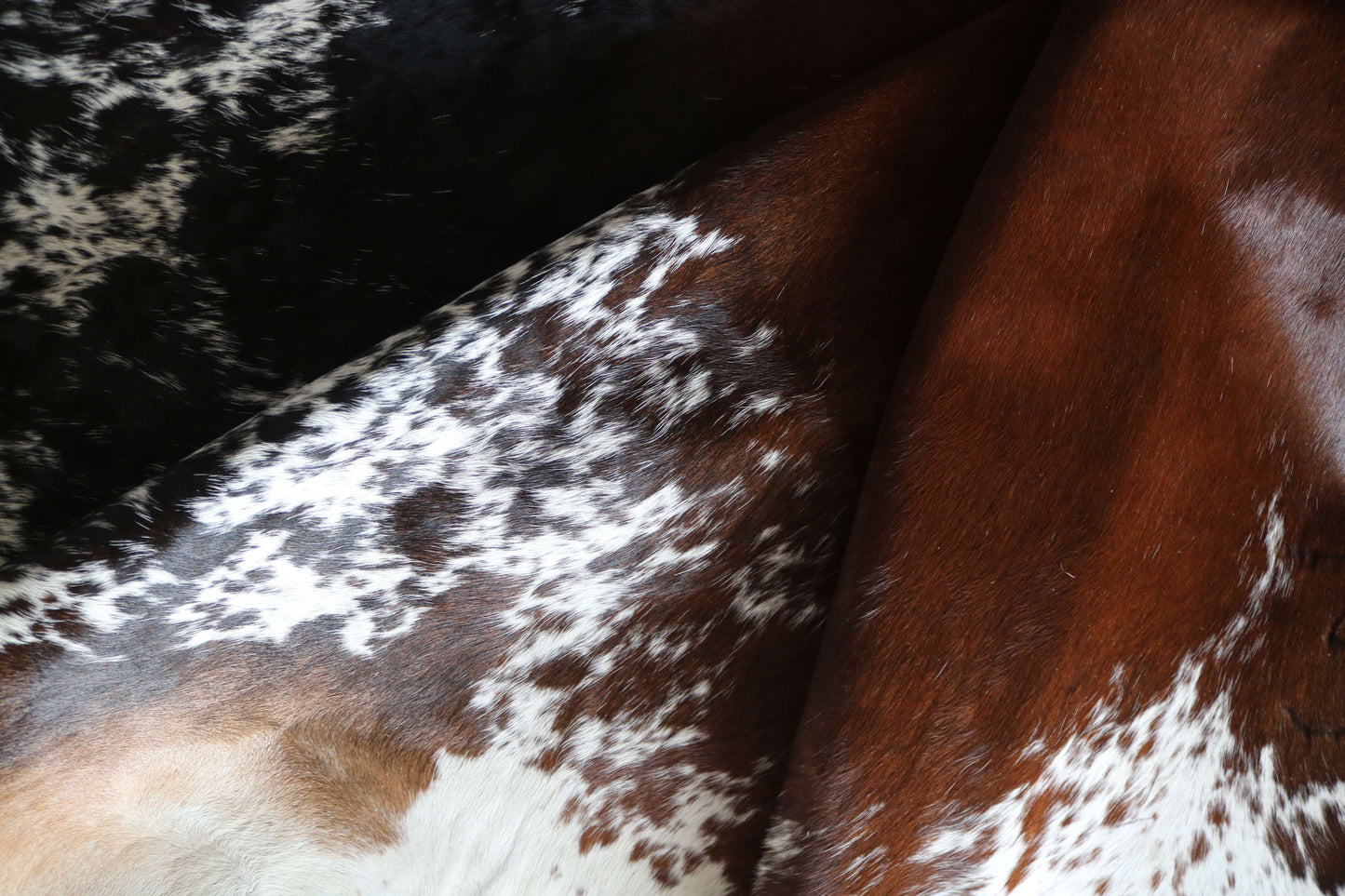100317  - TRICOLOR  Cowhide Rug XL - Quebecuir Premium Collection