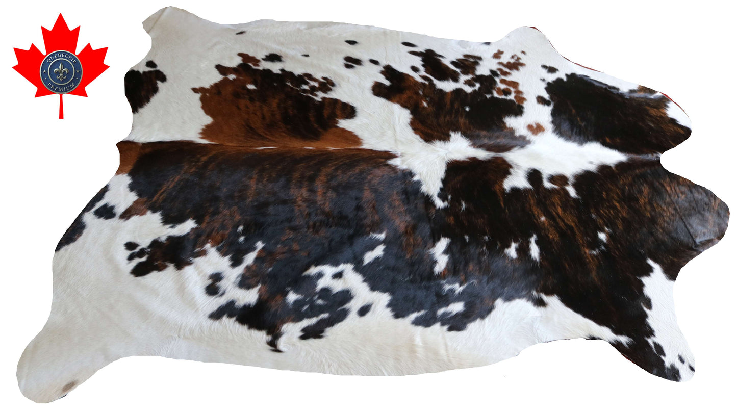 100319 - TRICOLOR  Cowhide Rug XL - Quebecuir Premium Collection