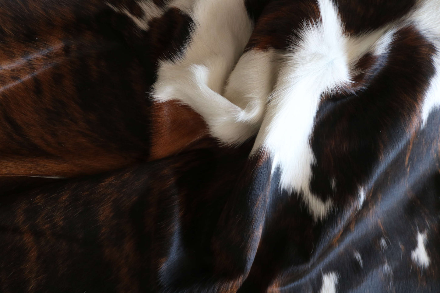 100319 - TRICOLOR  Cowhide Rug XL - Quebecuir Premium Collection