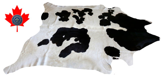 200154- Cowhide Rug Tapis Peau de Vache SUPER BIG SIZE XXXL - Collection Quebecuir Premium