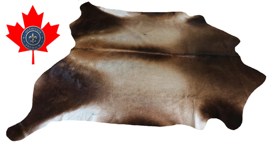 200155- Cowhide Rug Tapis Peau de Vache SUPER BIG SIZE XXXL - Collection Quebecuir Premium