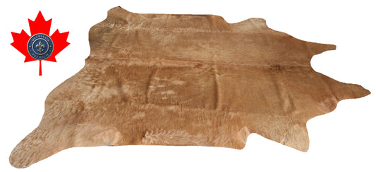 200158- Cowhide Rug Tapis Peau de Vache SUPER BIG SIZE XXXL - Collection Quebecuir Premium
