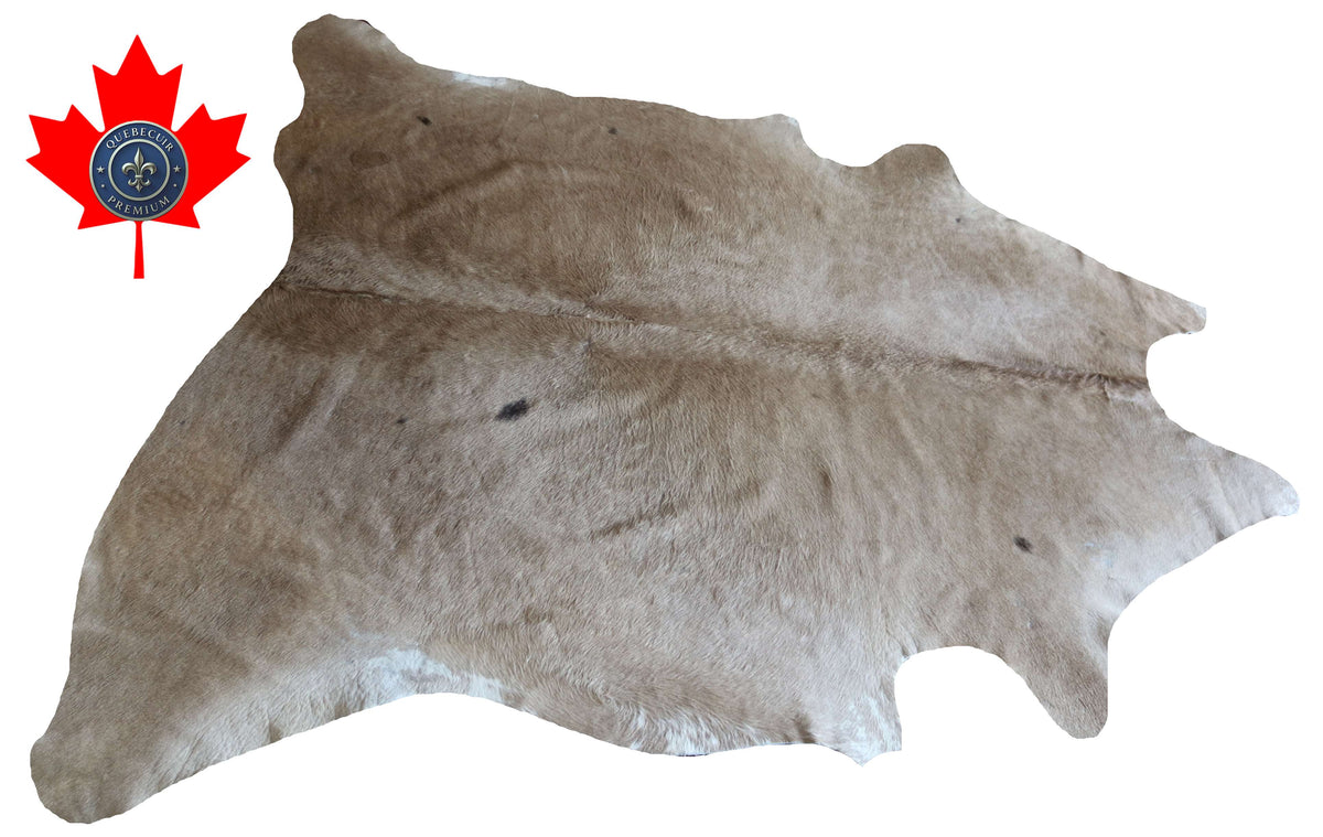 100326- CHAROLAIS  Cowhide Rug - Quebecuir Premium Collection