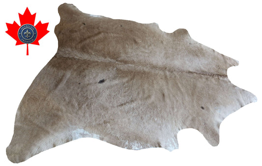100326- CHAROLAIS  Cowhide Rug - Quebecuir Premium Collection