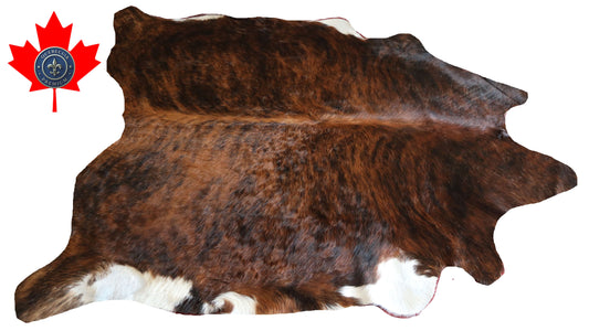 100327- TRICOLOR   Cowhide Rug - Quebecuir Premium Collection