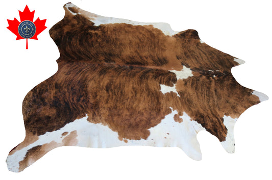 200172- Cowhide Rug Tapis Peau de Vache SUPER BIG SIZE XXXL - Collection Quebecuir Premium