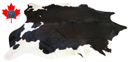 200174- Cowhide Rug Tapis Peau de Vache SUPER BIG SIZE XXXL - Collection Quebecuir Premium