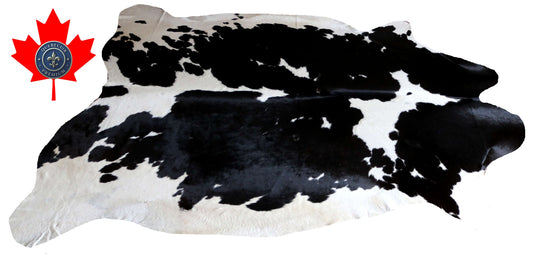100338- SUPER BIG  SIZE XXXL WHITE & BLACK   Cowhide Rug - Quebecuir Premium Collection