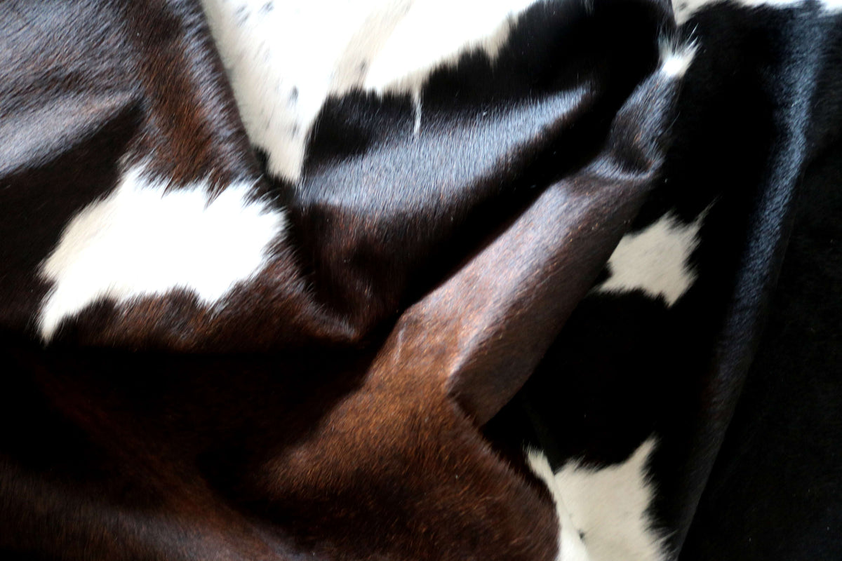 100339- SUPER BIG  SIZE XXXL TRICOLOR   Cowhide Rug - Quebecuir Premium Collection