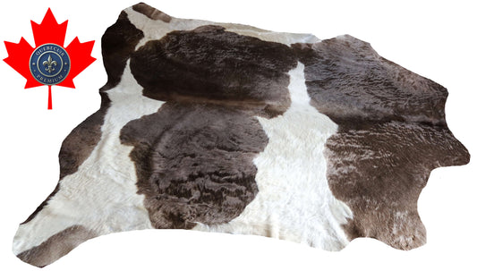 100340- SUPER BIG  SIZE XXXL TRICOLOR   Cowhide Rug - Quebecuir Premium Collection