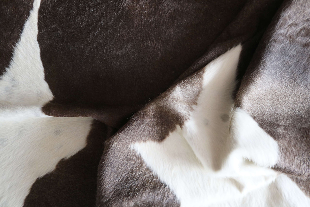 100340- SUPER BIG  SIZE XXXL TRICOLOR   Cowhide Rug - Quebecuir Premium Collection