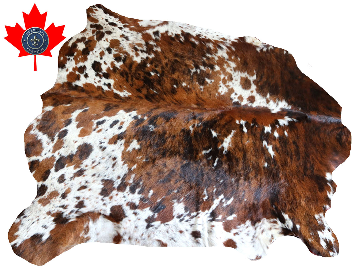 100341-  TRICOLOR  Cowhide Rug - Quebecuir Premium Collection