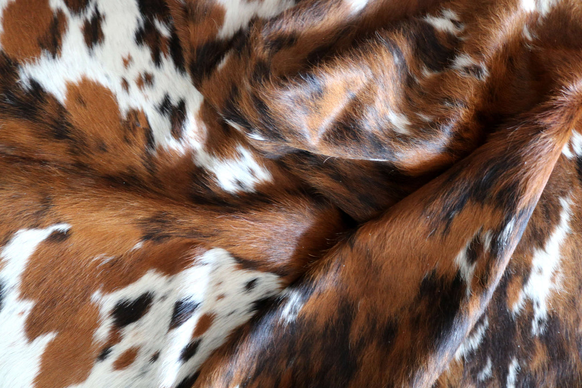 100341-  TRICOLOR  Cowhide Rug - Quebecuir Premium Collection