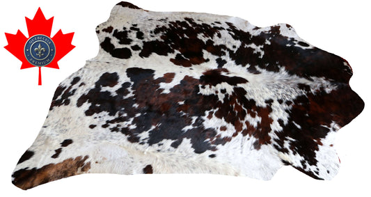 200667- SUPER BIG  SIZE XXXL TRICOLOR   Cowhide Rug - Quebecuir Premium Collection