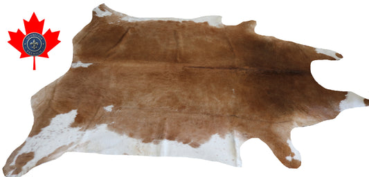 200184- Cowhide Rug Tapis Peau de Vache SUPER BIG SIZE XXXL - Collection Quebecuir Premium