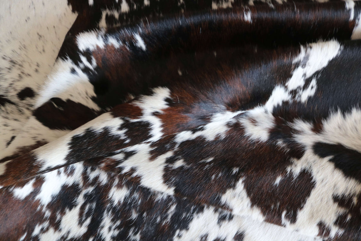 200668-   SIZE XXL TRICOLOR   Cowhide Rug - Quebecuir Premium Collection