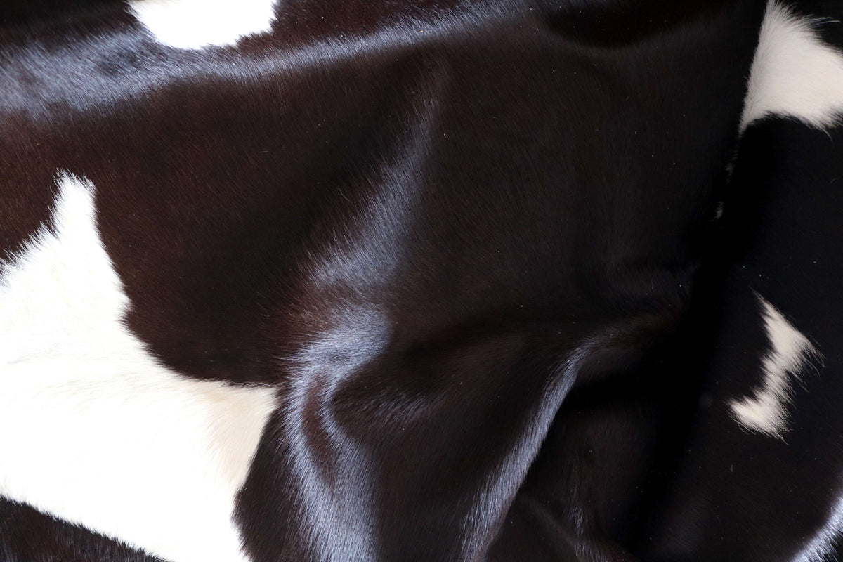 100342- TRICOLOR   Cowhide Rug - Quebecuir Premium Collection