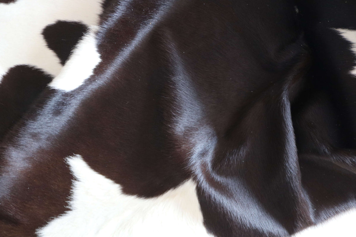100342- TRICOLOR   Cowhide Rug - Quebecuir Premium Collection