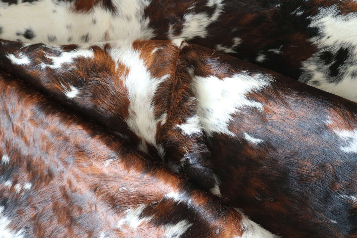 200670-   SIZE XXL TRICOLOR   Cowhide Rug - Quebecuir Premium Collection