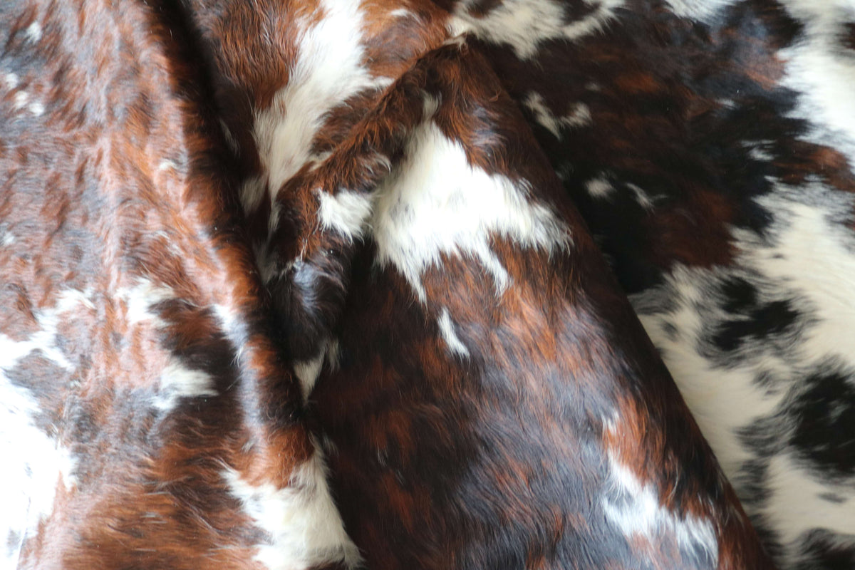 200670-   SIZE XXL TRICOLOR   Cowhide Rug - Quebecuir Premium Collection