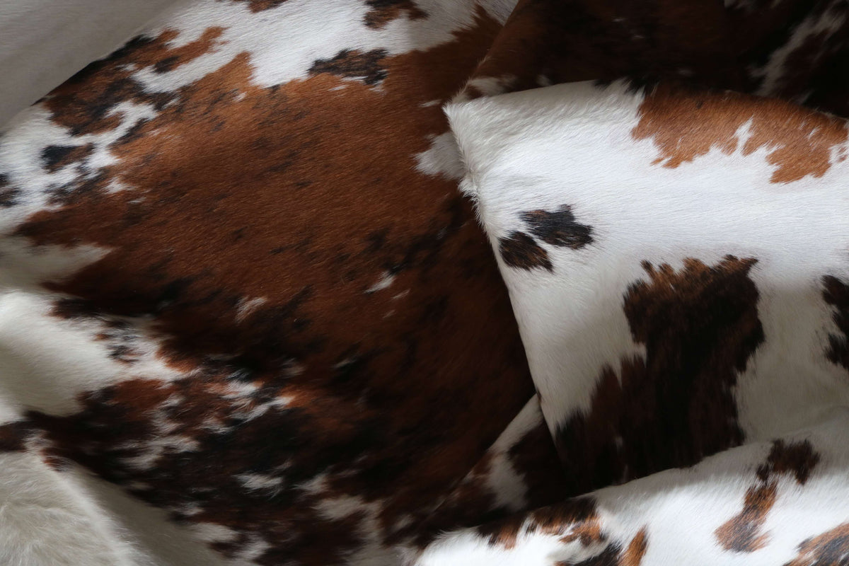 100345- SUPER BIG  SIZE XXXL TRICOLOR   Cowhide Rug - Quebecuir Premium Collection