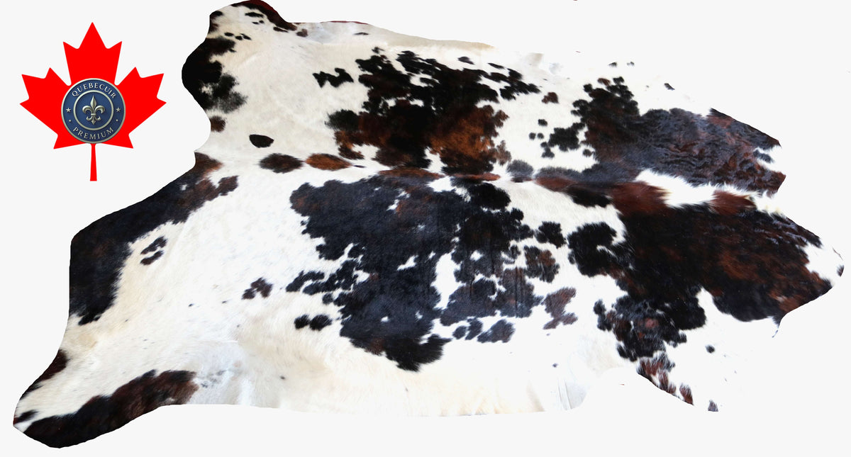 100349- SUPER BIG  SIZE XXXL TRICOLOR   Cowhide Rug - Quebecuir Premium Collection