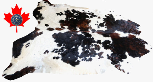 100349- SUPER BIG  SIZE XXXL TRICOLOR   Cowhide Rug - Quebecuir Premium Collection