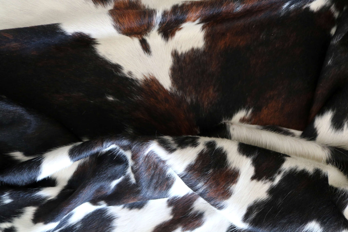 100349- SUPER BIG  SIZE XXXL TRICOLOR   Cowhide Rug - Quebecuir Premium Collection