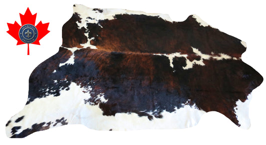 200199- Cowhide Rug Tapis Peau de Vache SUPER BIG SIZE XXXL - Collection Quebecuir Premium
