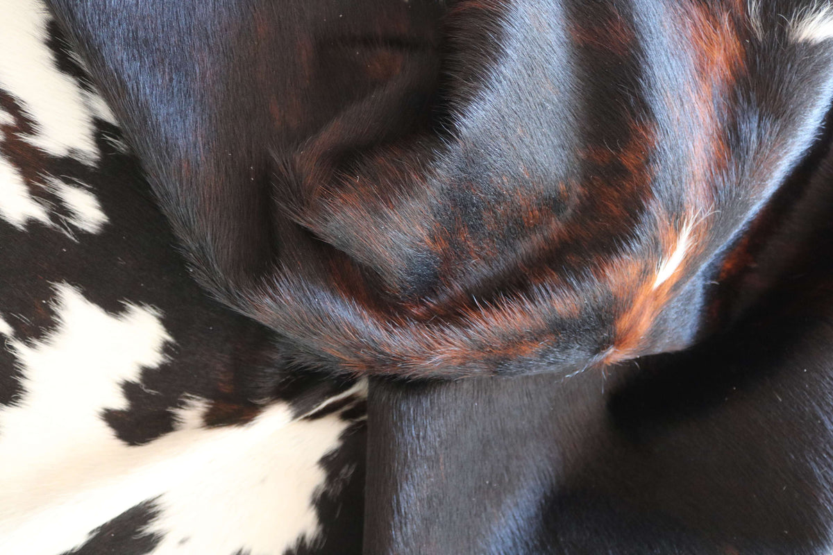 100351  - TRICOLOR  Cowhide Rug- Quebecuir Premium Collection