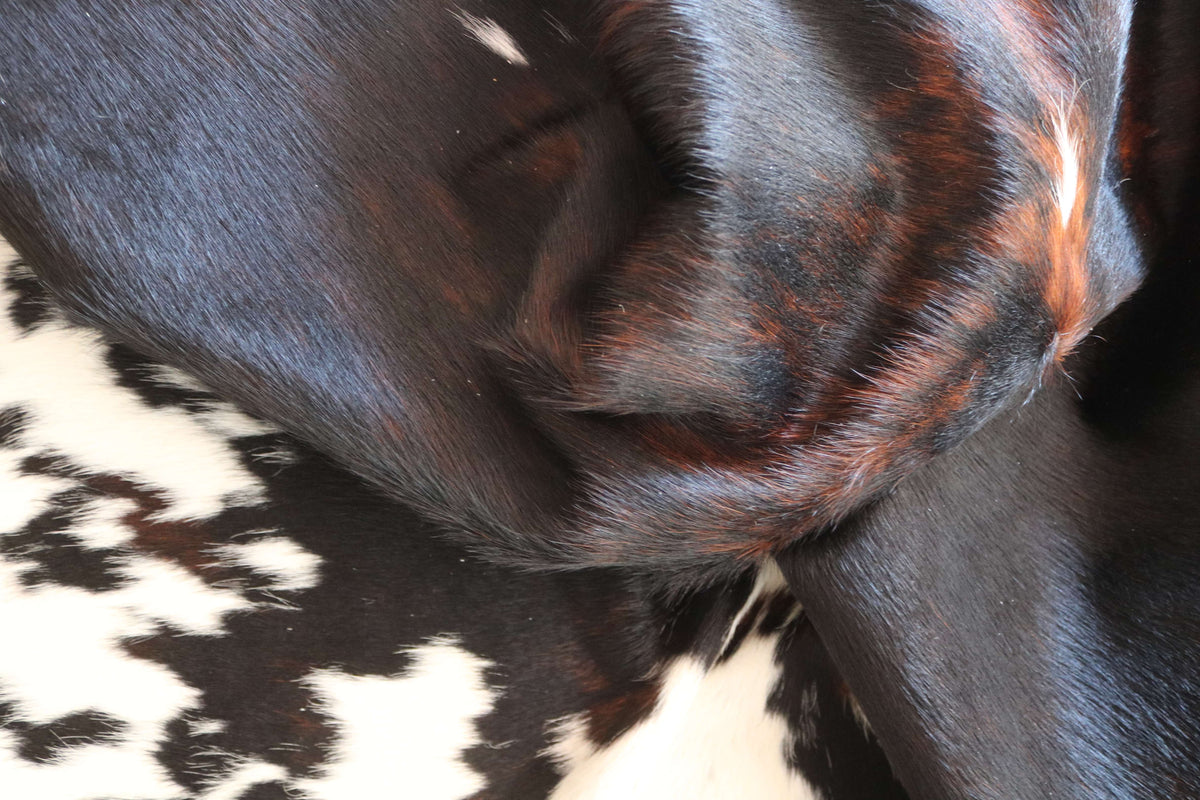 100351  - TRICOLOR  Cowhide Rug- Quebecuir Premium Collection