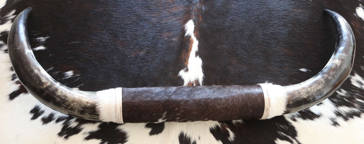 200672 Horns Cornes Collection Quebecuir Premium