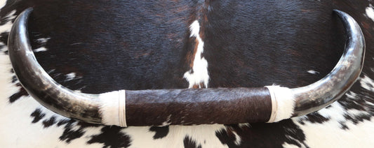 200672 Horns Cornes Collection Quebecuir Premium