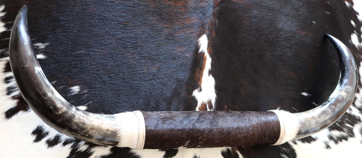 200672 Horns Cornes Collection Quebecuir Premium