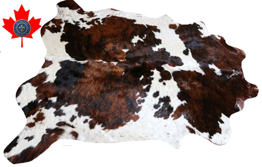 200673 - TRICOLOR  Cowhide Rug- Quebecuir Premium Collection