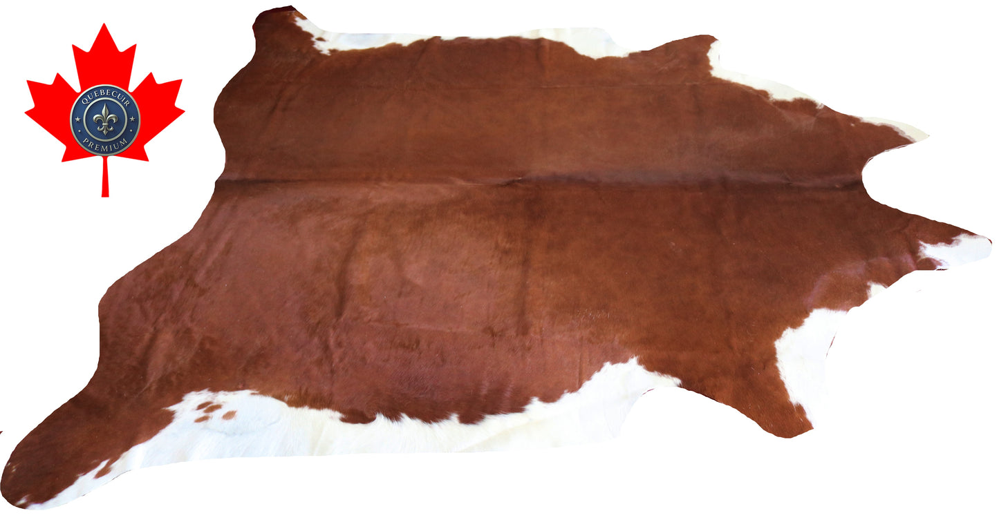 200202- Cowhide Rug Tapis Peau de Vache SUPER BIG SIZE XXXL - Collection Quebecuir Premium