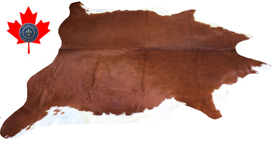 200202- Cowhide Rug Tapis Peau de Vache SUPER BIG SIZE XXXL - Collection Quebecuir Premium