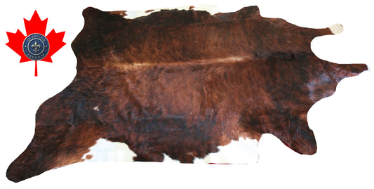 200203- Cowhide Rug Tapis Peau de Vache SUPER BIG SIZE XXXL - Collection Quebecuir Premium