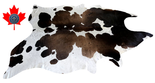 200204- Cowhide Rug Tapis Peau de Vache SUPER BIG SIZE XXXL - Collection Quebecuir Premium