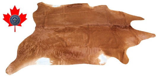 200206- Cowhide Rug Tapis Peau de Vache SUPER BIG SIZE XXXL - Collection Quebecuir Premium