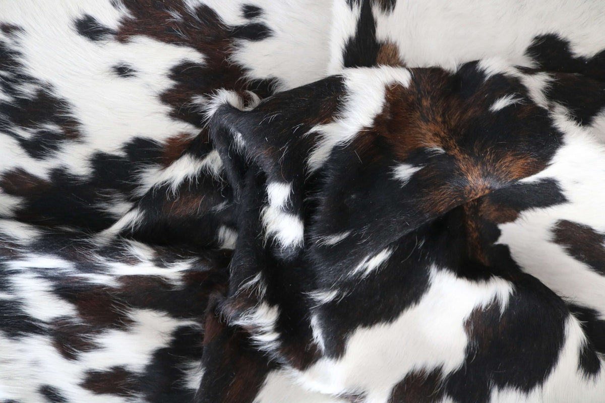 200679-   SIZE XXL TRICOLOR   Cowhide Rug - Quebecuir Premium Collection