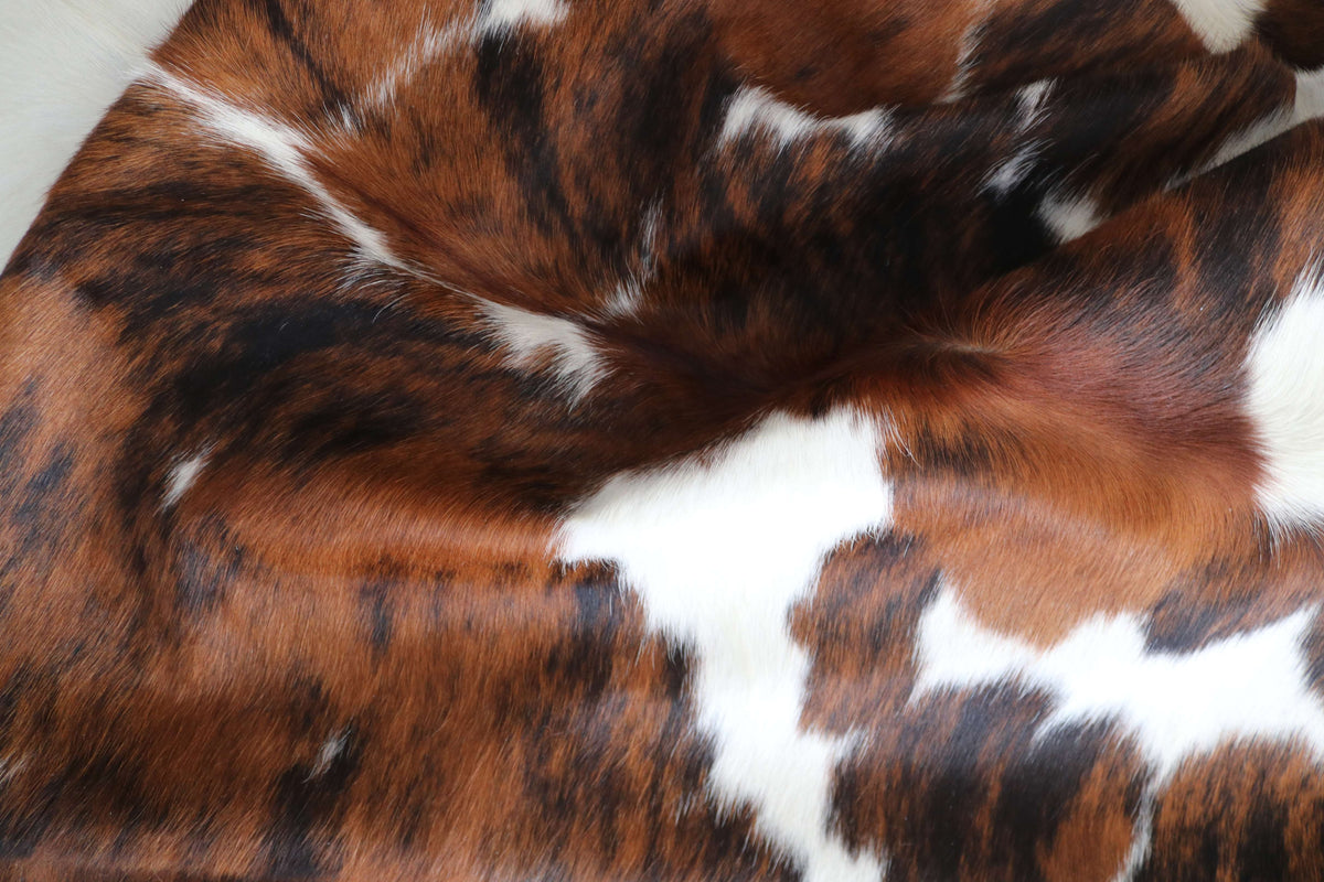 200680-   SIZE XXL TRICOLOR   Cowhide Rug - Quebecuir Premium Collection