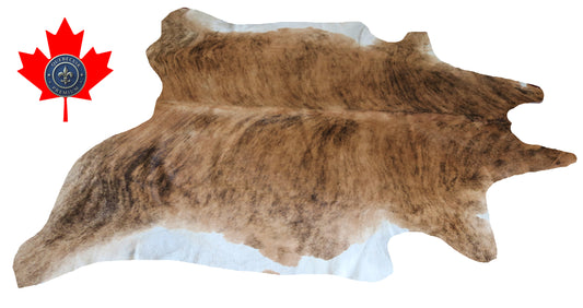200213- Cowhide Rug Tapis Peau de Vache SUPER BIG SIZE XXXL - Collection Quebecuir Premium