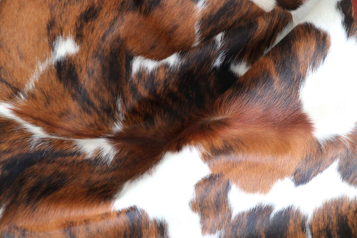 200680-   SIZE XXL TRICOLOR   Cowhide Rug - Quebecuir Premium Collection