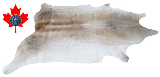 200214- Cowhide Rug Tapis Peau de Vache SUPER BIG SIZE XXXL - Collection Quebecuir Premium